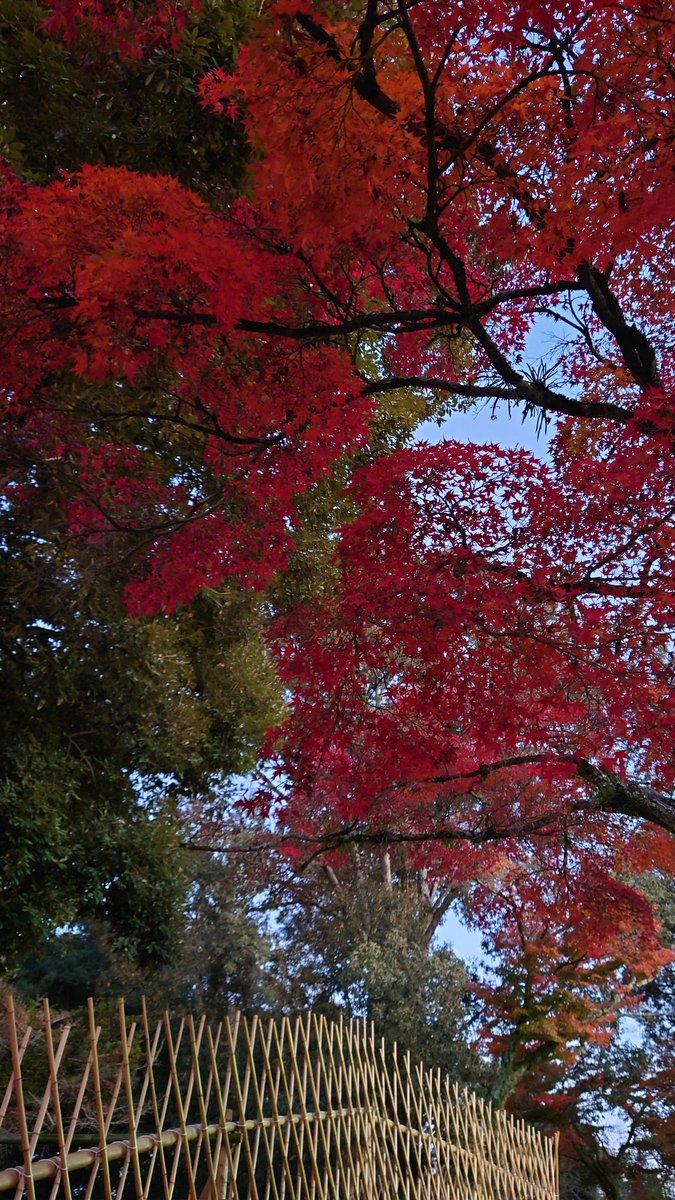 奈良の街歩いていると(そりゃ歌の一首でも読みたくなっちゃうよね