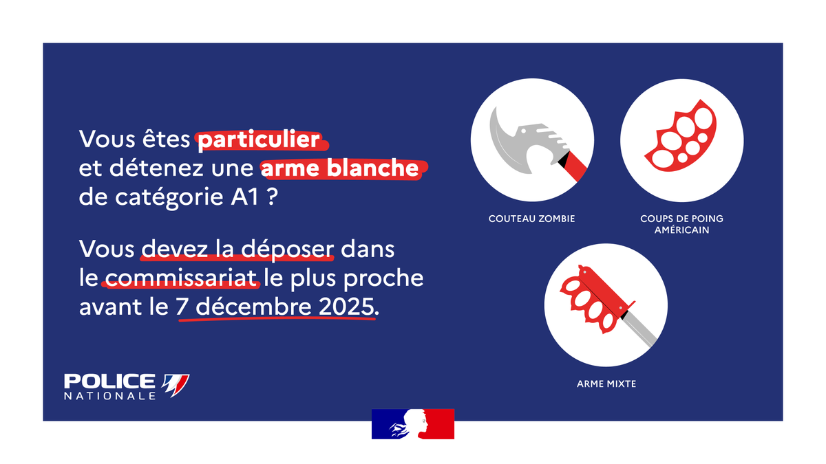 Si vous êtes en possession de ces armes, vous devez les remettre à un service de police ou de gendarmerie jusqu’au 7 décembre. Passé cette date, vous serez passible de 5 ans d’emprisonnement et 75 000 euros d’amende.