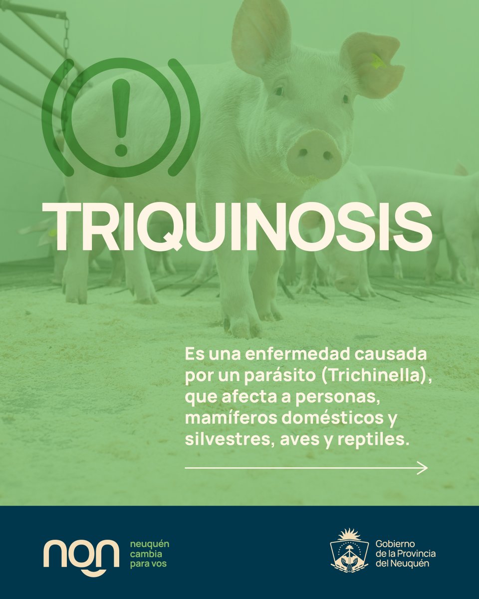 Ministerio de Salud tweet media