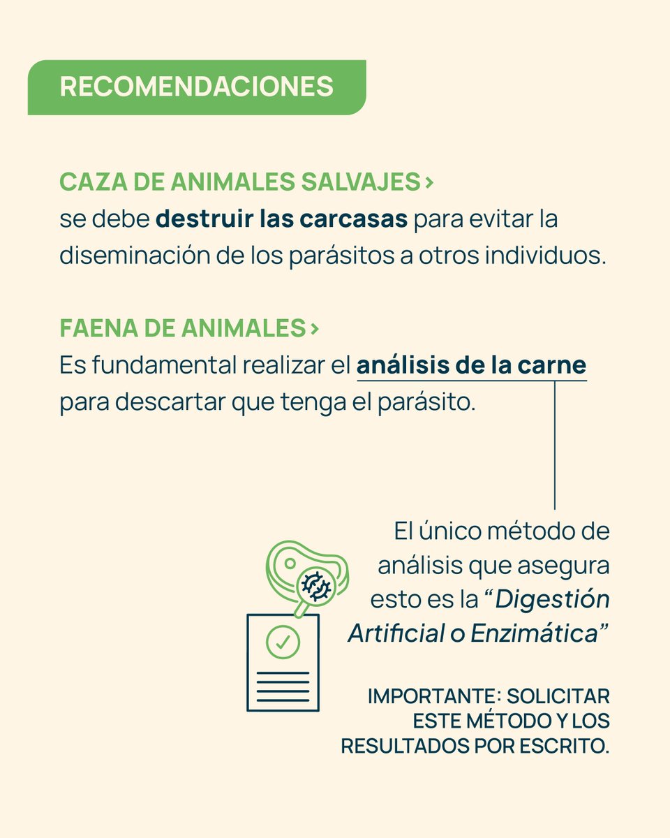 Para prevenir la #Triquinosis, elegí siempre carne y chacinados con certificación sanitaria. 🐖
Es fundamental fomentar el consumo responsable y garantizar la seguridad alimentaria de todas y todos los neuquinos. 
👉 Las pequeñas decisiones hacen una gran diferencia👈