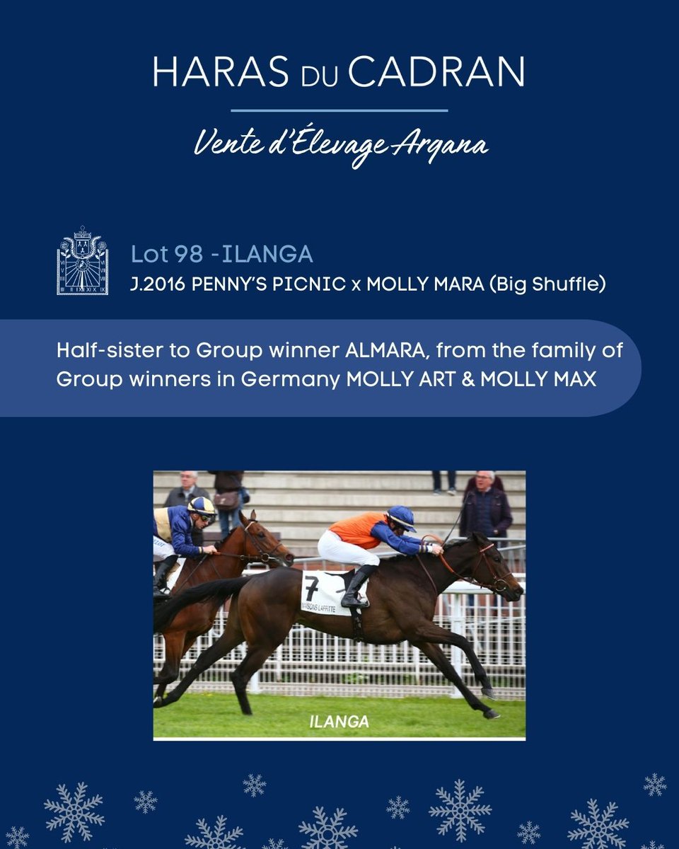 HARAS DU CADRAN tweet media