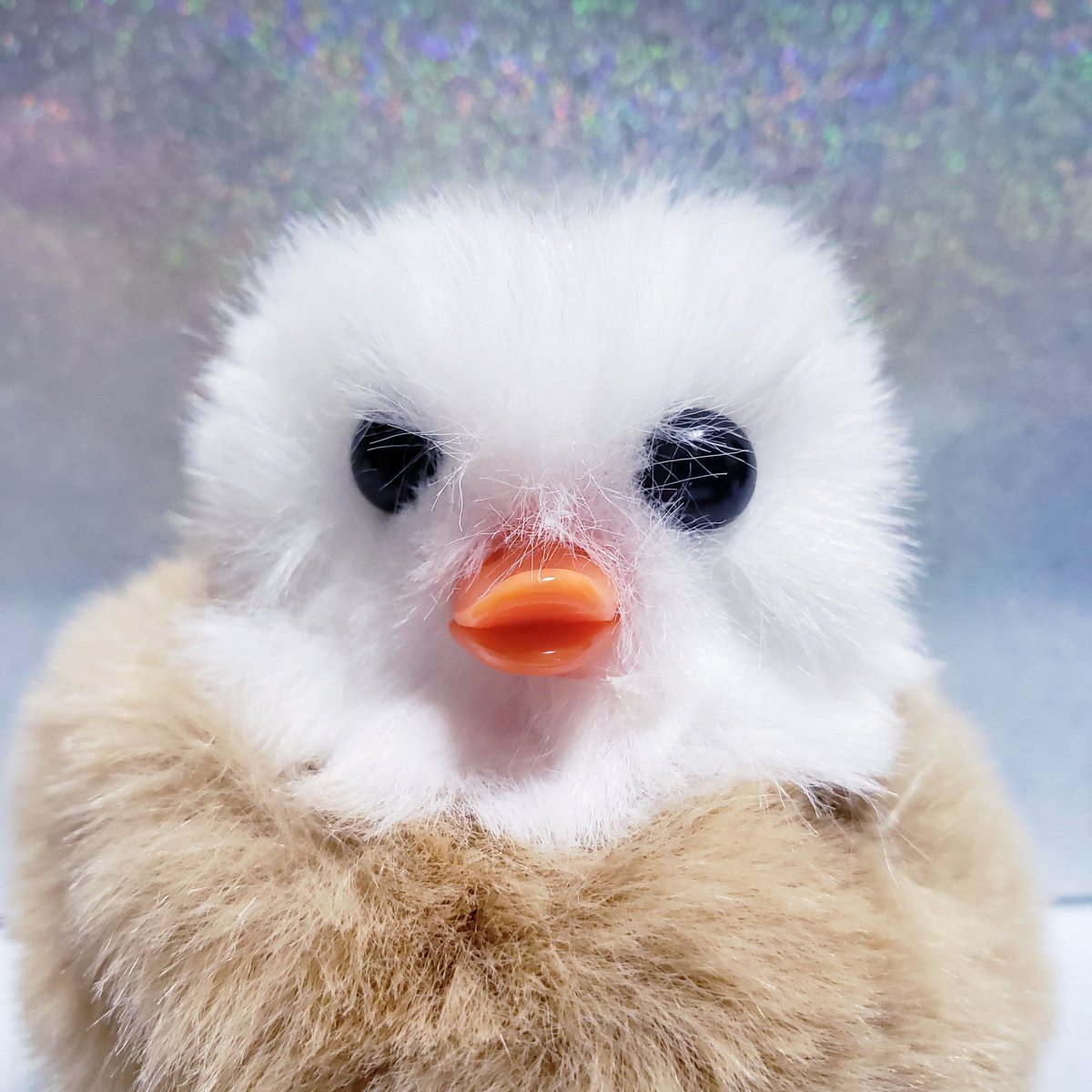 鰐𩵋 (@WANIUO) / Posts / X