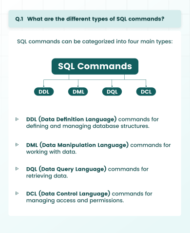 Ai_Vaidehi's tweet photo. SQL is the most important language for SDE &amp; DA Roles.

Mastering SQL can help you to crack your dream role.

I have prepared a FREE PDF file that helps you to ace difficult interview questions.

Just:

1. Repost, Follow and Like
2. Comment [FREE]

And I will DM you https://t.co/gJ7q6O5fkr