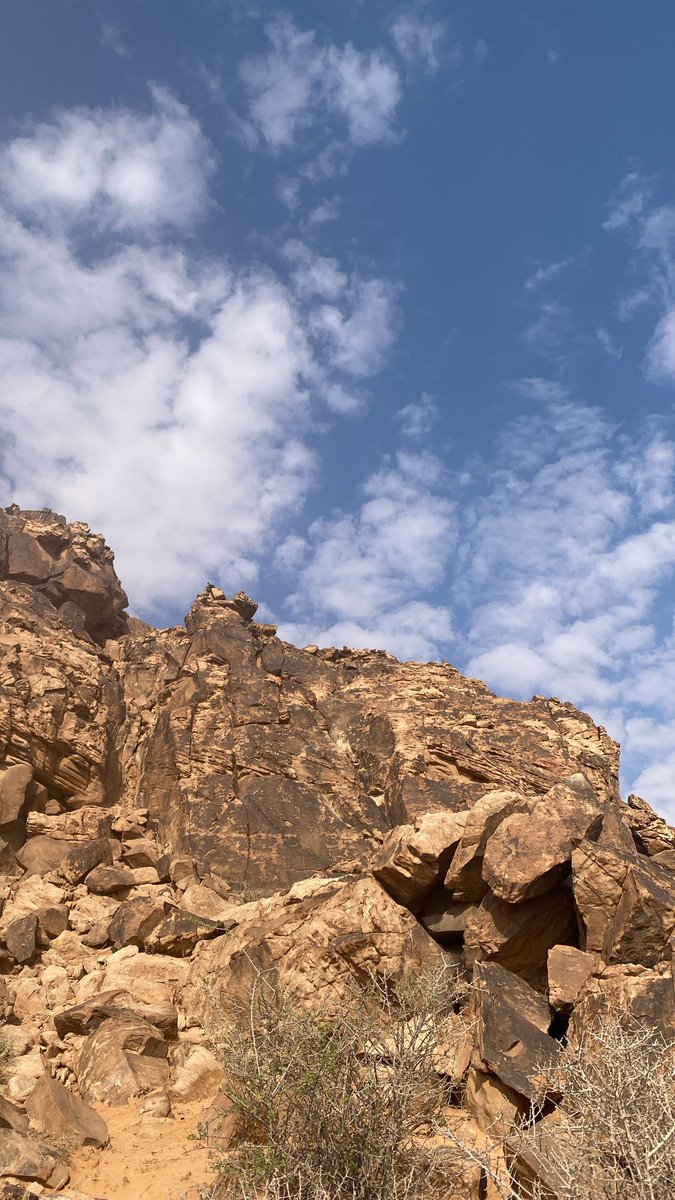 200Hail200's tweet photo. #ربيع  عام 1447 بوادر ظهور الربيع ماشاء الله تبارك الله #حائل  #غرب  الله يرزقه بالمطر https://t.co/vPZLzcU8cu