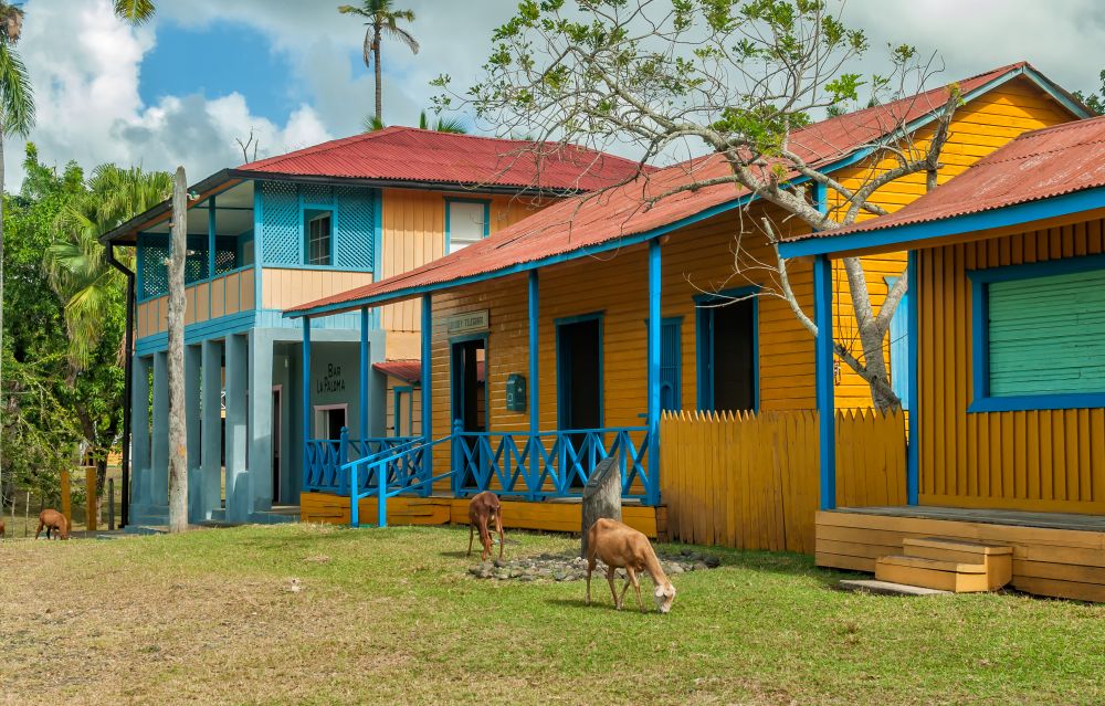 Located in remote countryside midway between Holguin &amp; Santiago de Cuba, the small, bucolic village of Biran plays a central role in modern Cuban history, being the birthplace of Fidel &amp; Raul Castro. 
tinyurl.com/2mbp5jhk
#cuba #cubatour #cubaholiday #beyondtheordinary