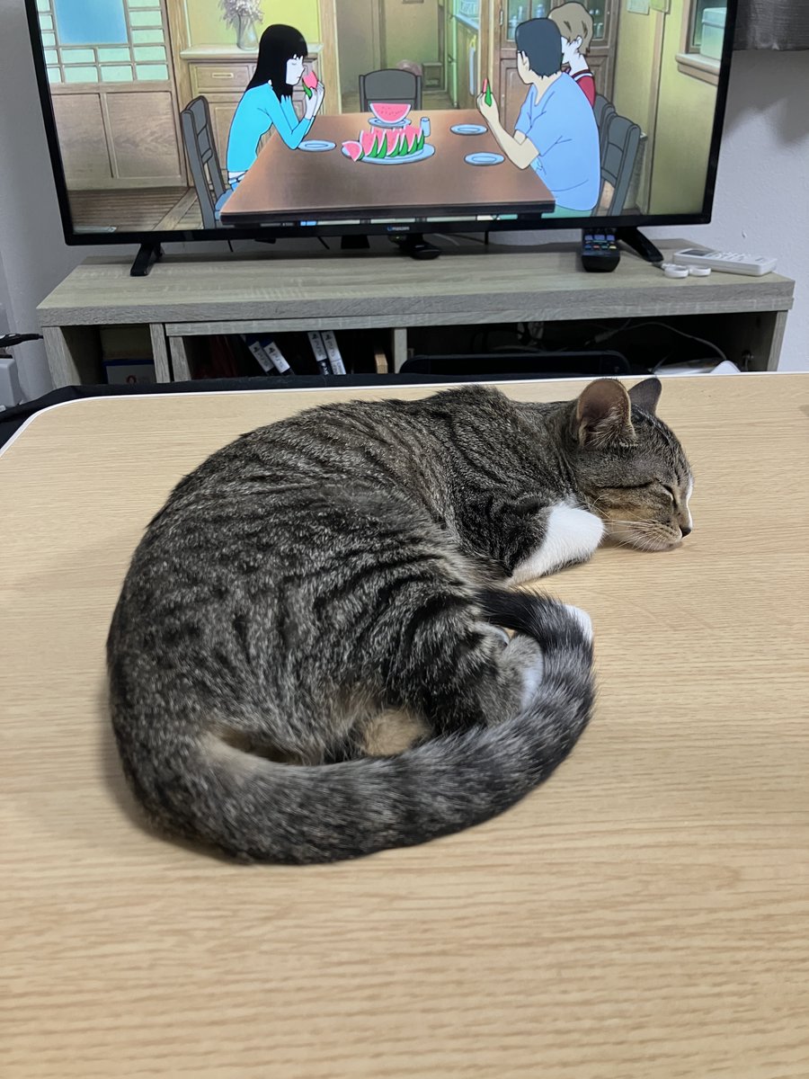 しっぽながいねえ