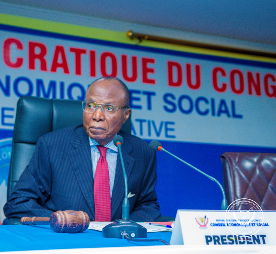 mbulayi_650's tweet image. Rdc- Réduction de la dépendance économique, processus pour le développement endogène, un projet d&apos;avis présenté par la commission ECOFIN à été adopté lors d la plénière de ce vendredi 28 NOV au conseil économique et social sous la conduite de JP KIWAKANA.