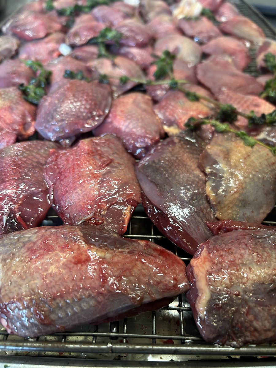 Dale McIntosh tweet media