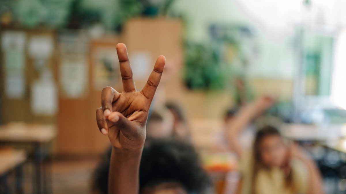 IreneFenswick's tweet image. Fun Formative Assessment Activities Inspired by UDL.
Creative, flexible ways to check understanding, boost engagement, and support every learner through Universal Design for Learning. 🌟📚 
buff.ly/q6joNkQ
#UDL #FormativeAssessment #TeachingTips