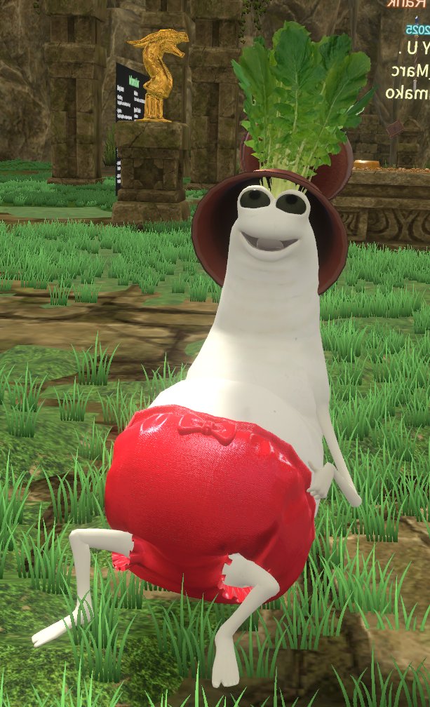 みゆうみゆうさん用変わりミミチューさん3匹とミニマルさんシリチューさんハナちゃん みゆうみゆうさん用変わりミミチューさん3匹とミニマルさんシリチュー