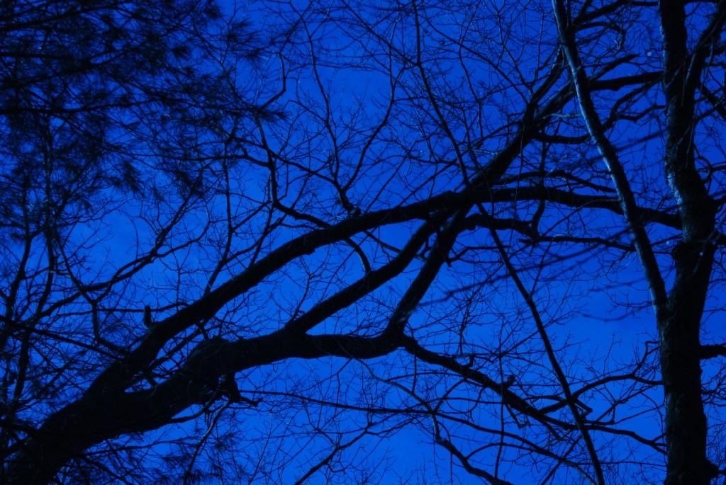 ꫀꪀᦔꪶꫀᦓᦓ ᠻꪊꪀ tweet media