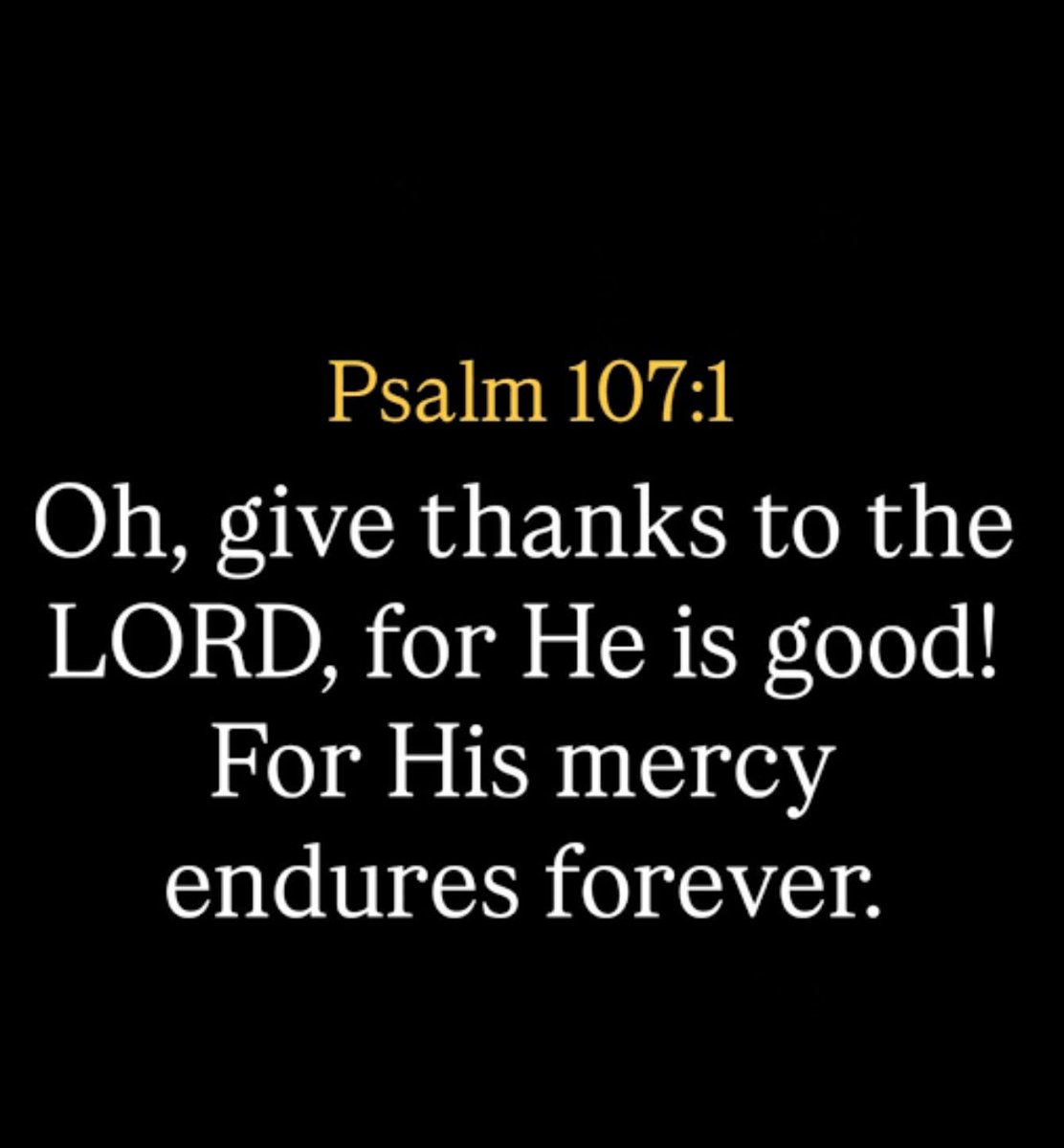 sam_muff's tweet image. 