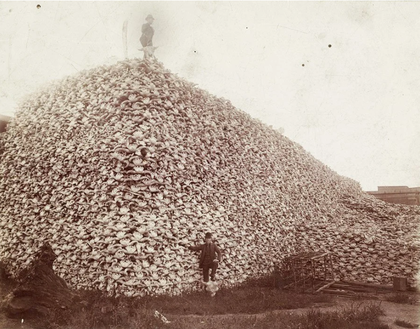 Alain Lec'hvien tweet media