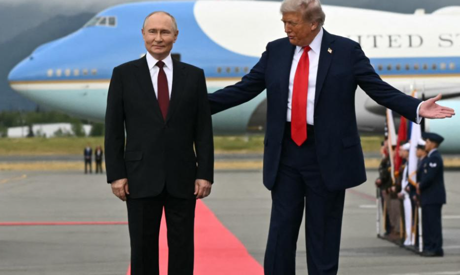 Alain Lec'hvien tweet media