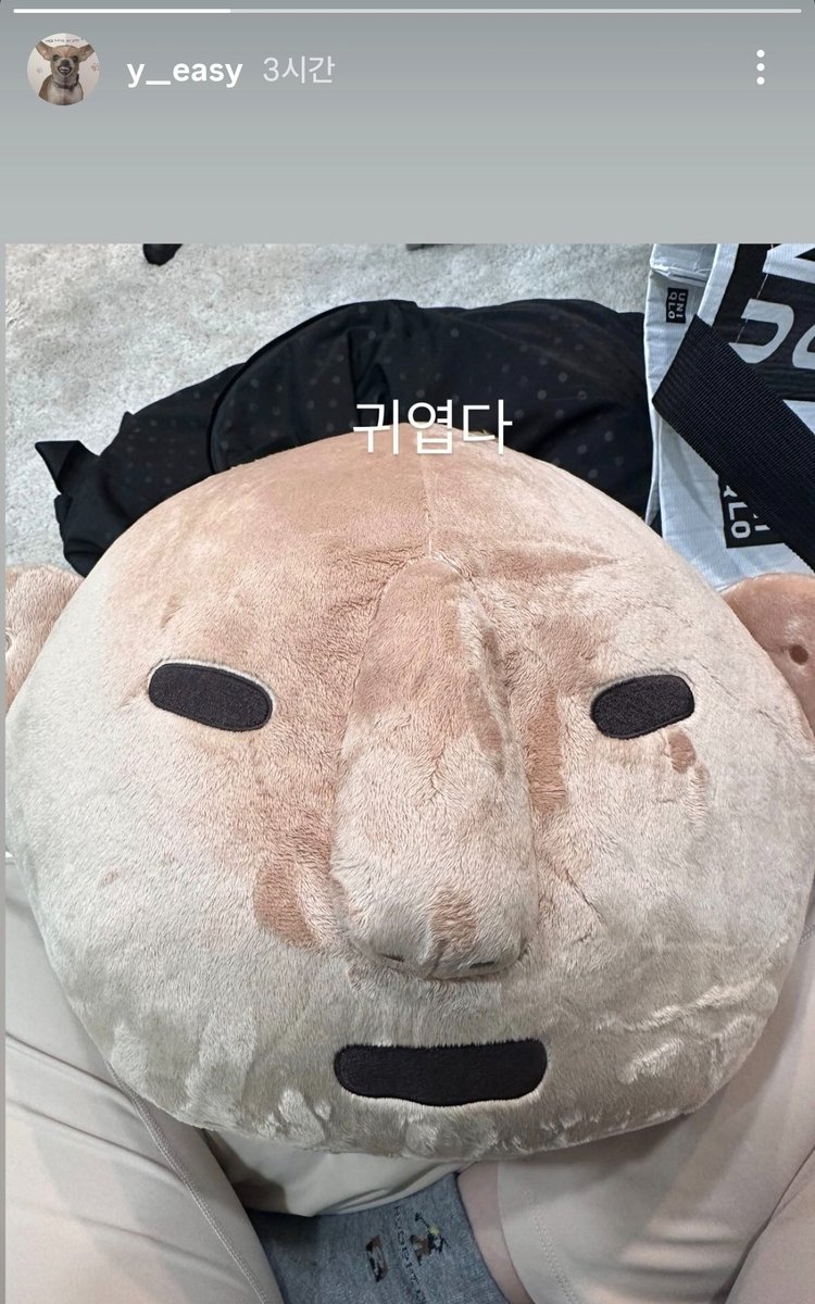 온라인에서 화제가 된 뮷즈 쿠션 이미지