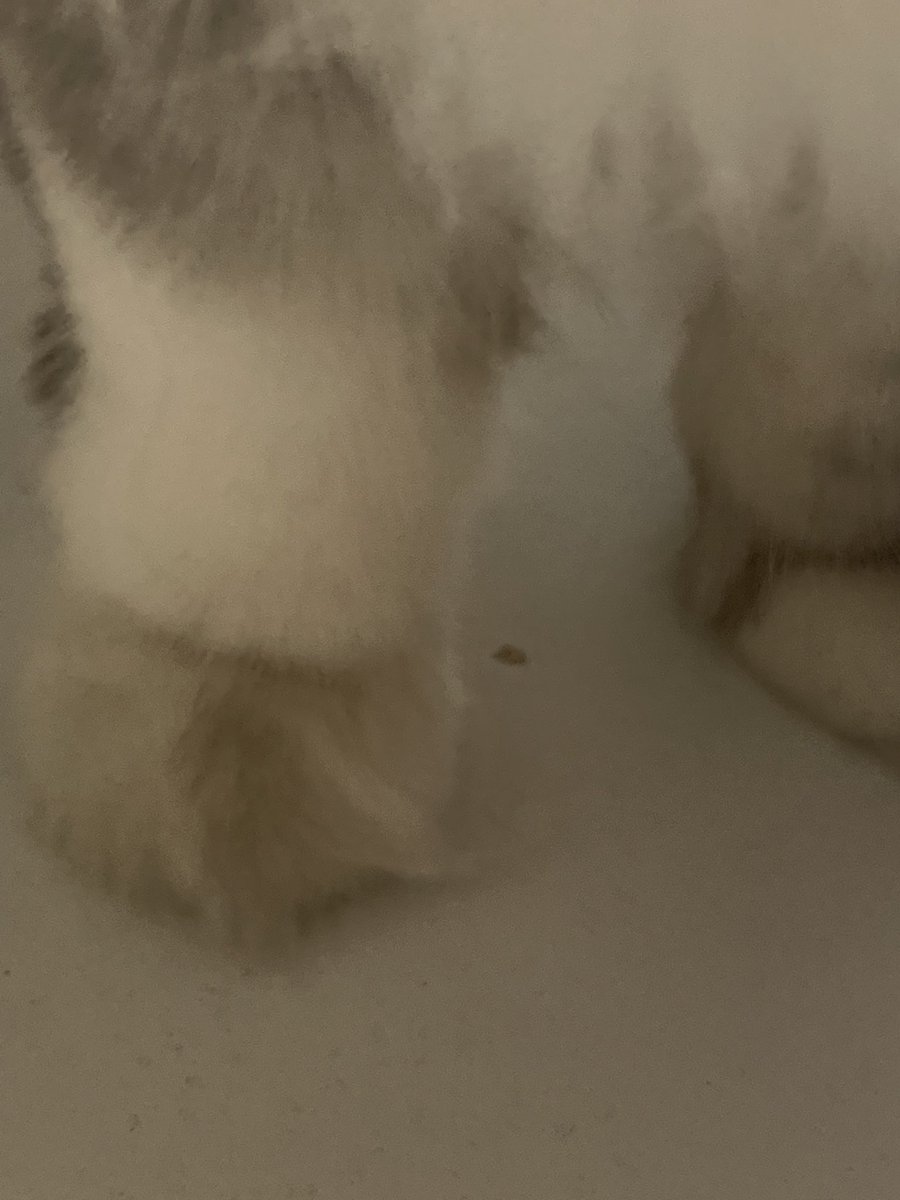 黄推福利内容 - 音酱宝宝的精彩图片 福利姬音酱宝宝分享的黄推图片1 - 网红私拍内容