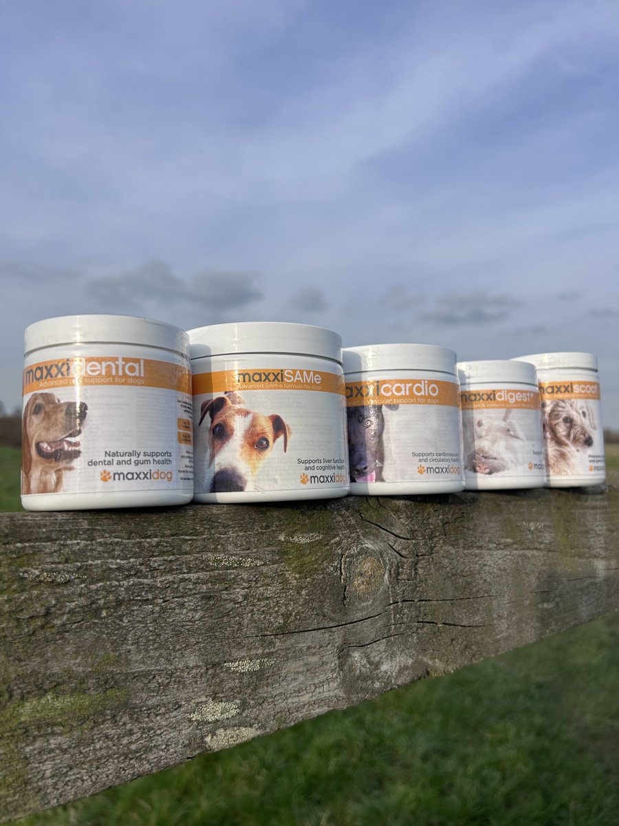 maxxipaws's tweet image. Check out our maxxipaws health supplement range for dogs... and cats. Because We-Care
#dogsupplements #dogshealth #catsupplments #catshealth #doglovers #catlovers #petsupplements
