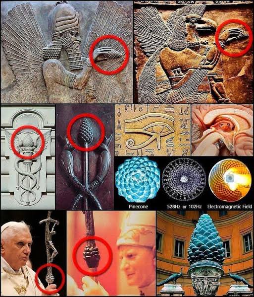 theanonfiles's tweet photo. If the pineal gland really “dies off” for no reason, why did ancient civilizations protect it like sacred tech, why did early neurologists call it the seat of consciousness, and why do modern governments study it in classified sleep research?

What happens if it never calcified at all?