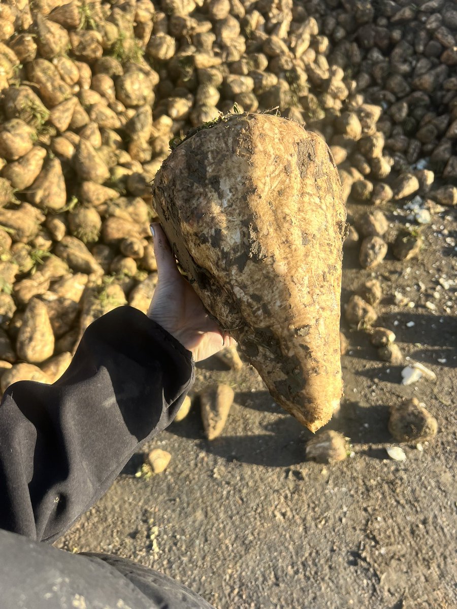 Katherine Cross tweet media