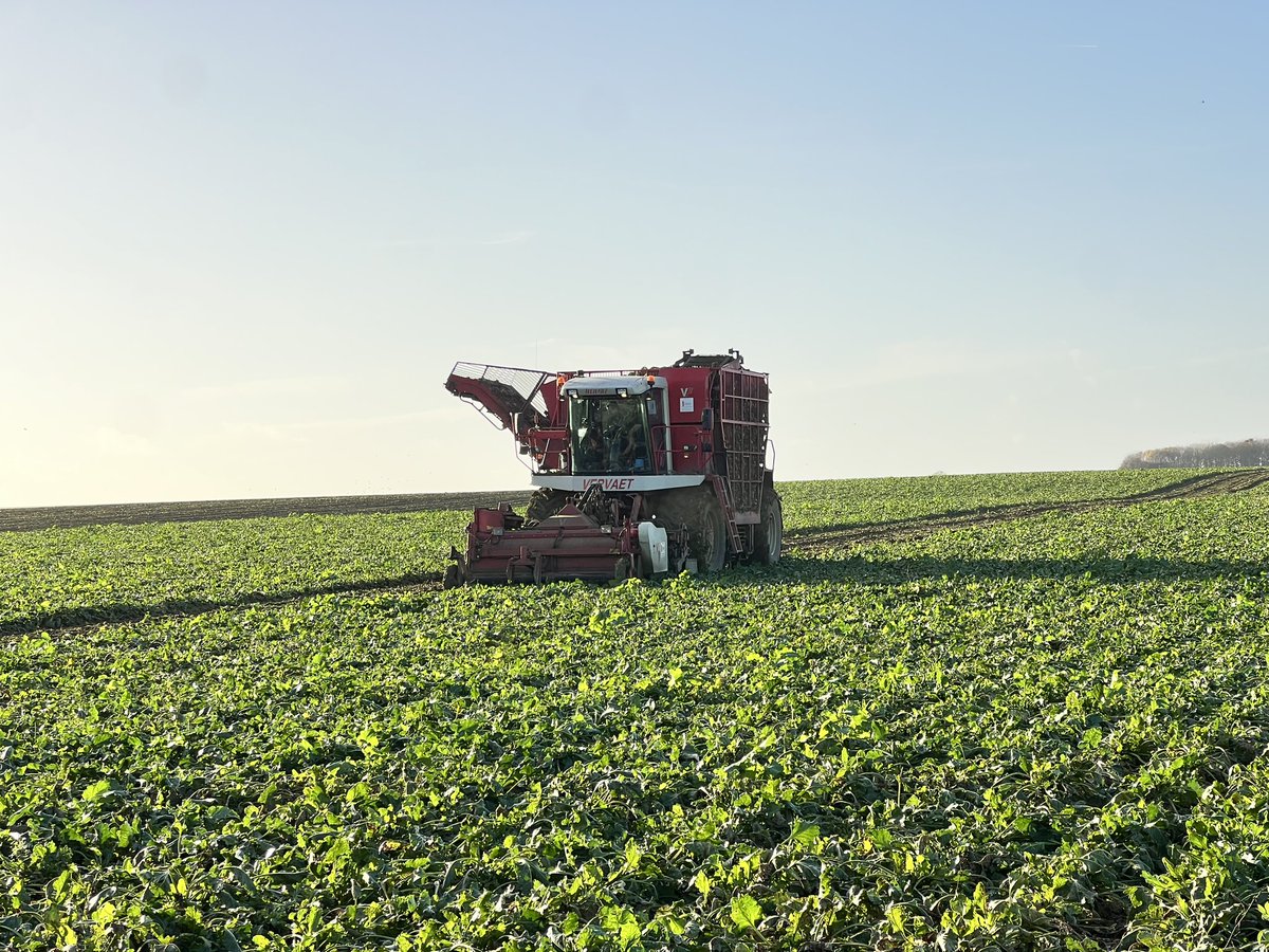 Katherine Cross tweet media