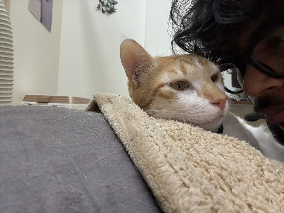 axbixh's tweet image. His personal space is my personal space