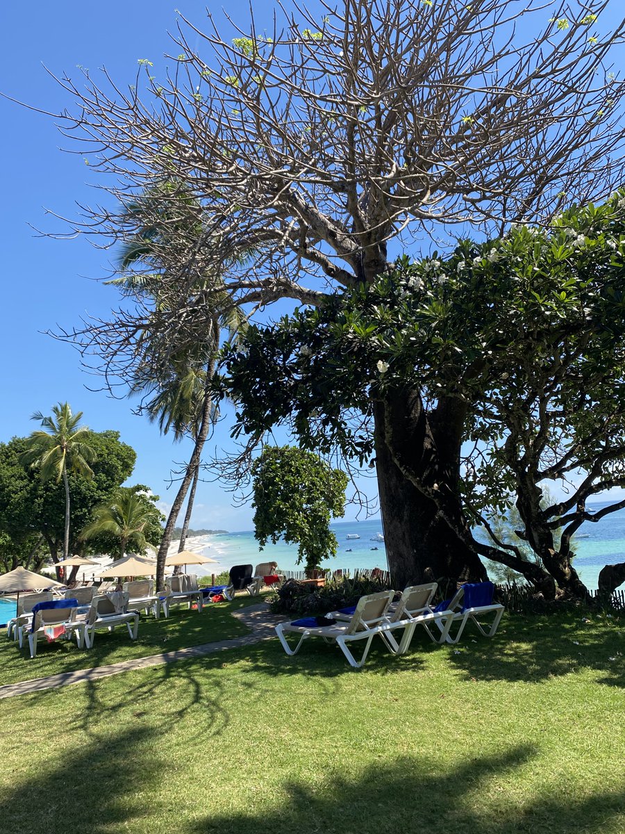 When nature calls and mental rest becomes an imperative.