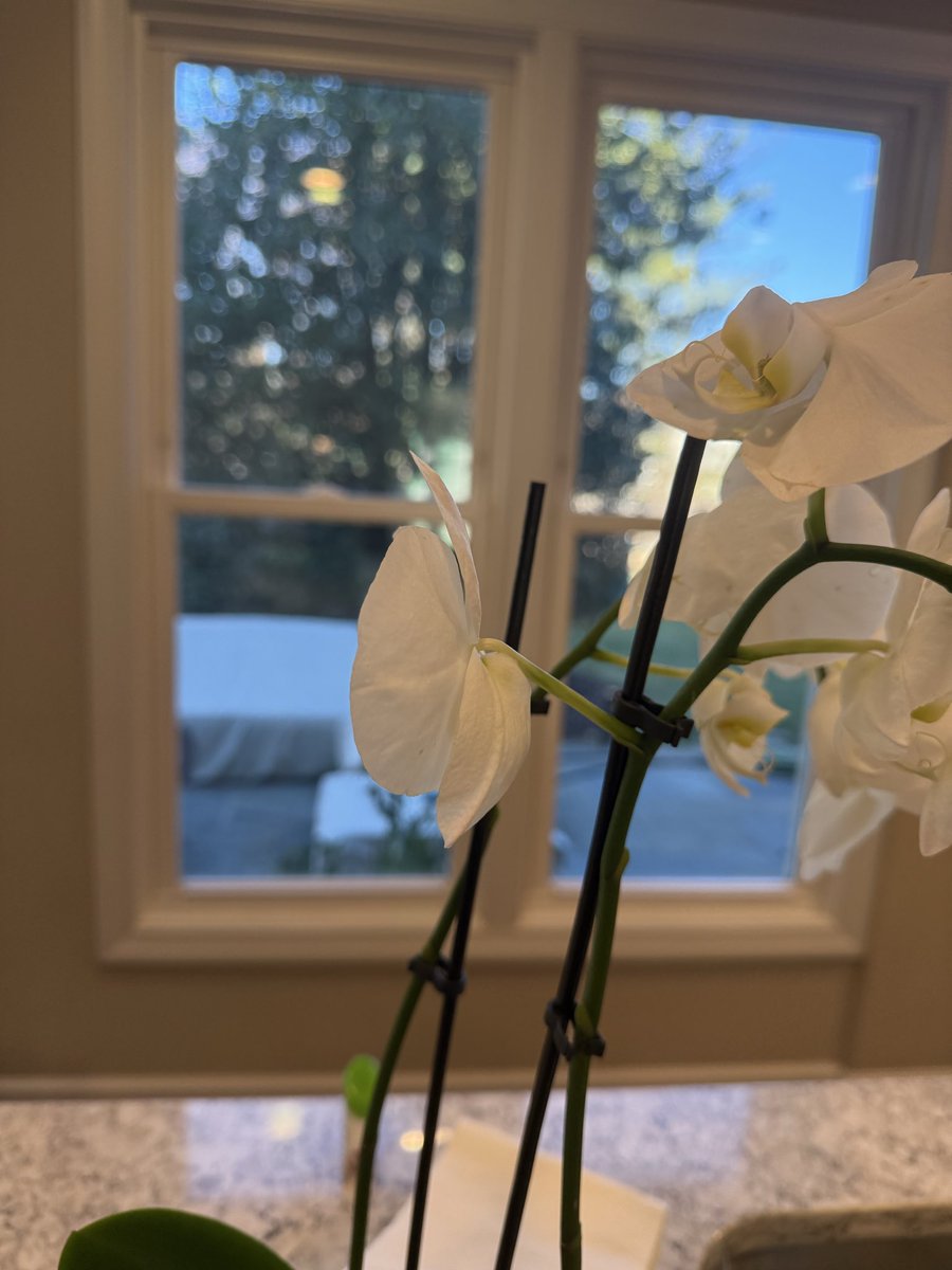 Karen reses tweet media