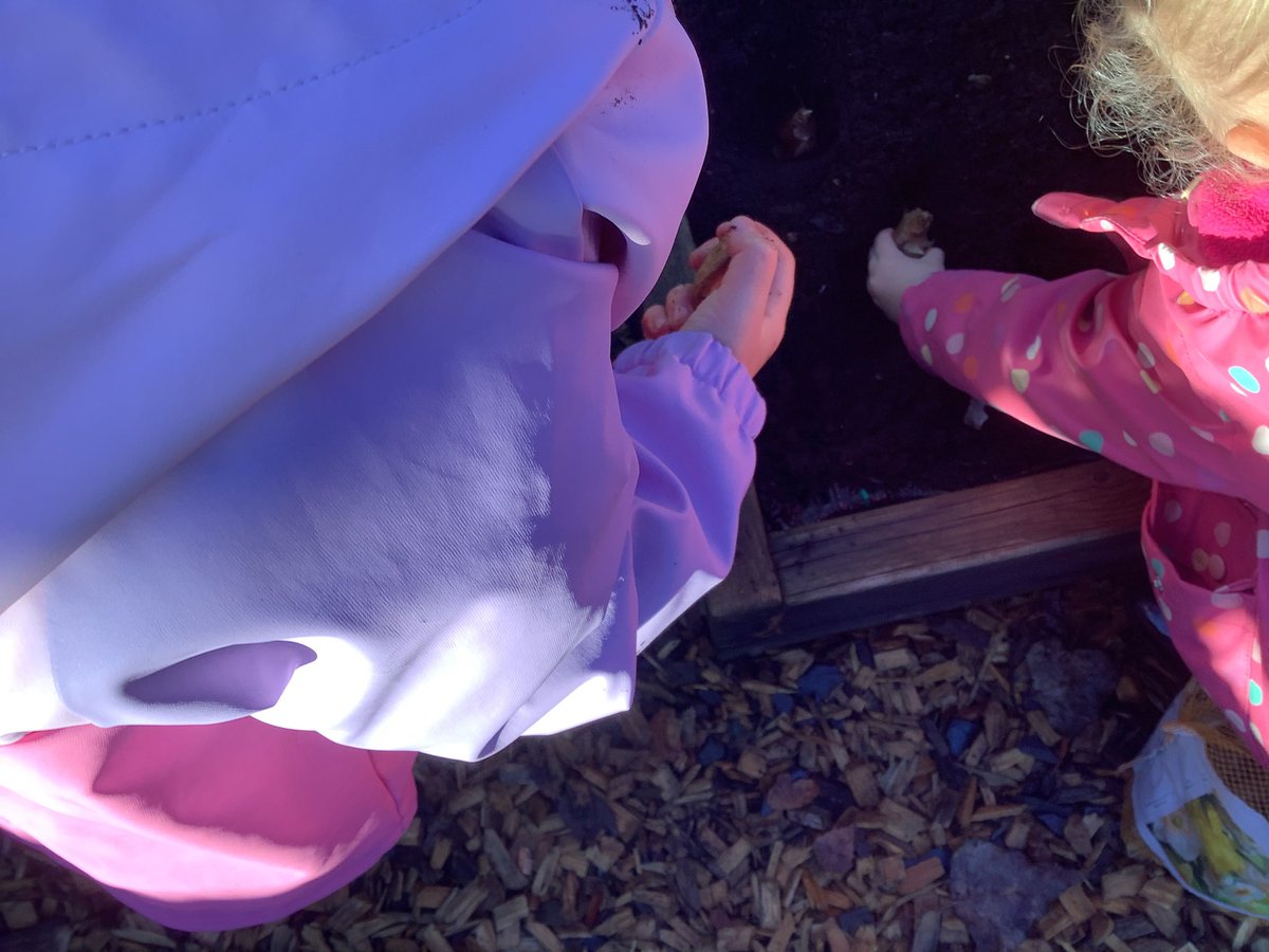 gsp_nursery's tweet image. We have been planting spring bulbs ready to make our garden look beautiful.