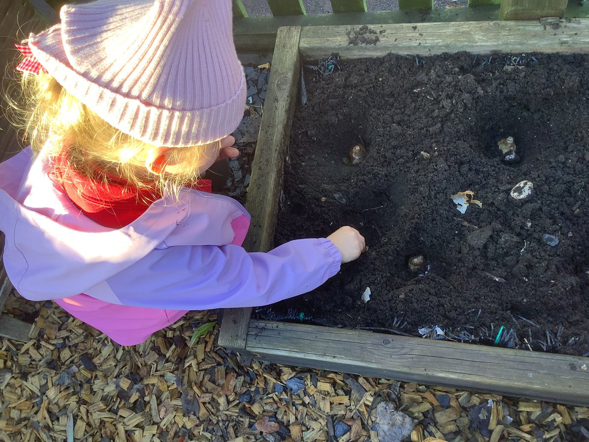 gsp_nursery's tweet image. We have been planting spring bulbs ready to make our garden look beautiful.