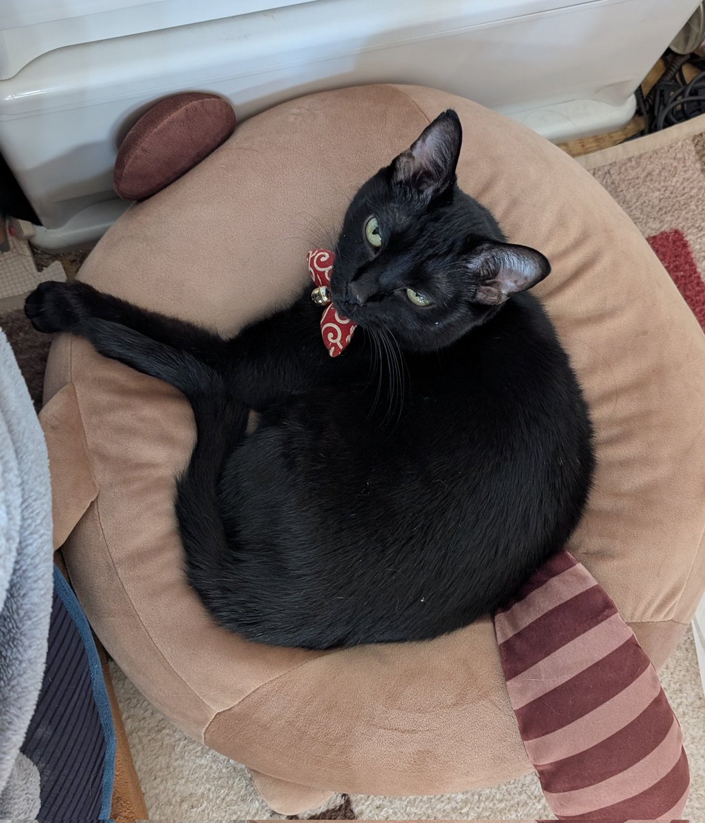 なな姉❤FF (@77nana777neesan) / Posts / X