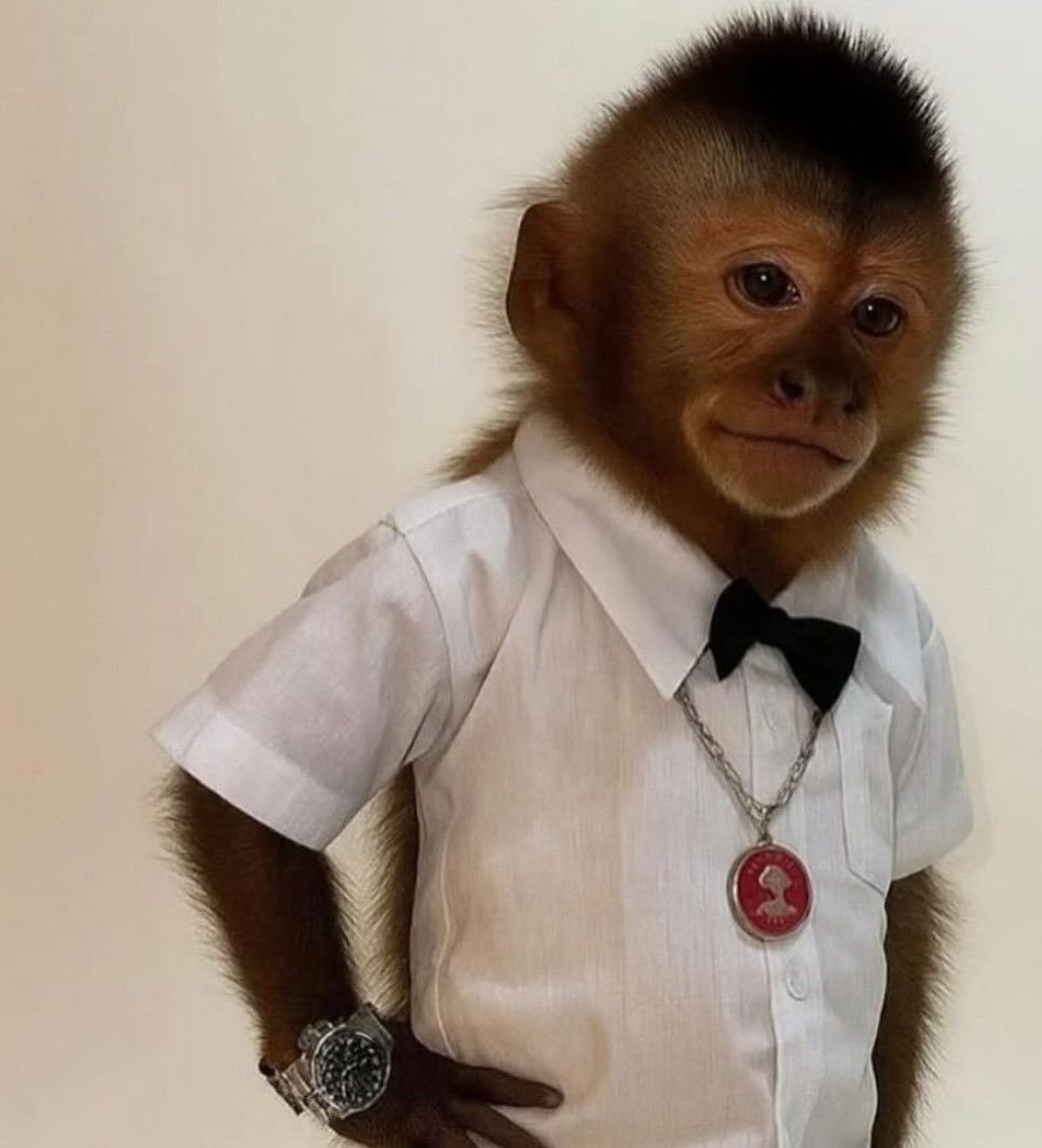 2geekerr's tweet image. What you see before geek nukes the chart