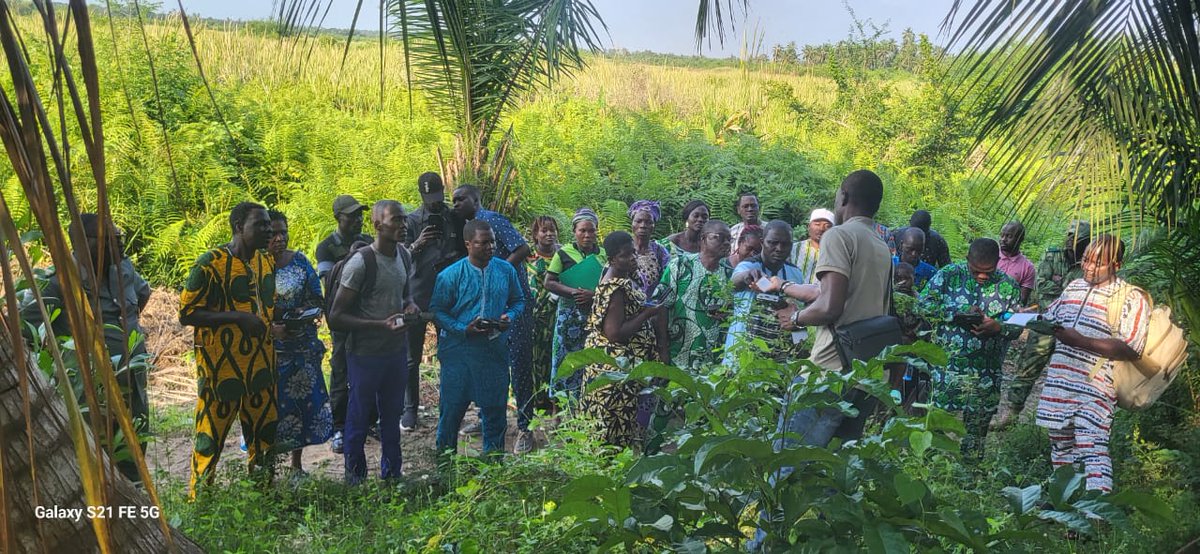 GWP West Africa tweet media