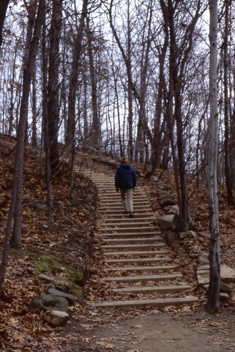 It’s Friday! #OptOutside. Instead of Black Friday, have a Green Friday and get outside and hike. Consider lesser used trails, like Furnace Run, Boston Run, or the Hemlock Creek Trail. No matter the trail, burn off the turkey and stuffing! NPS Photo.