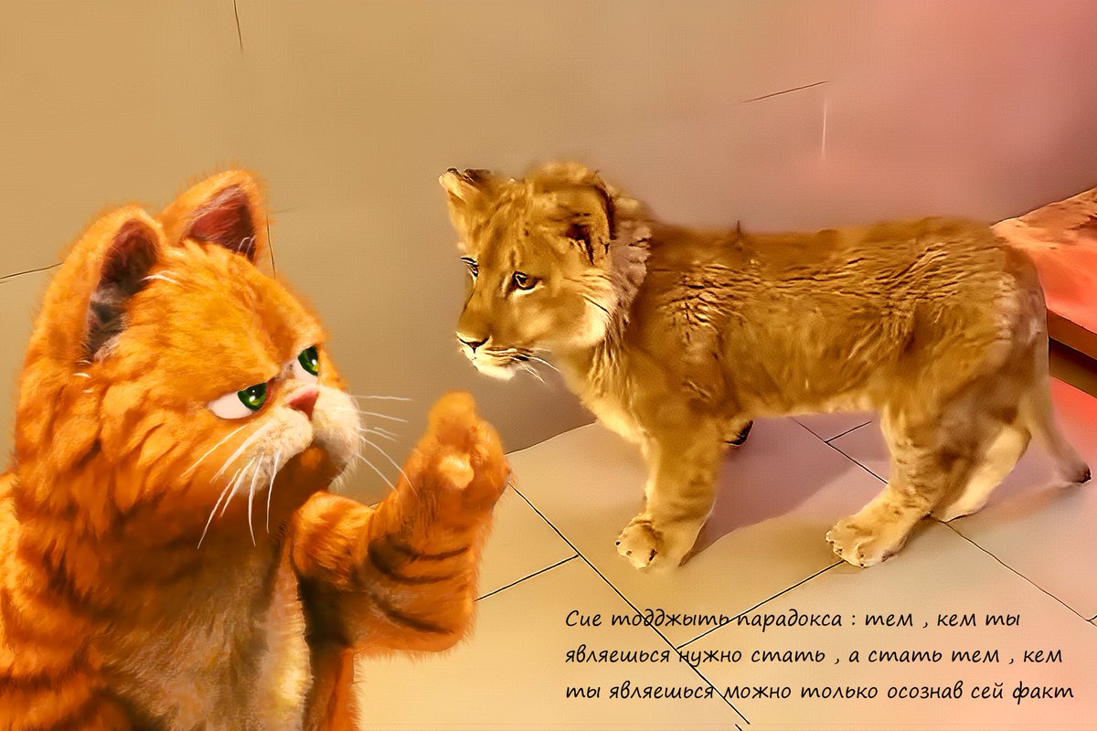 Блог Кота Моти.: Отчалюит котус то ... catmotya.blogspot.com/2025/11/blog-p…