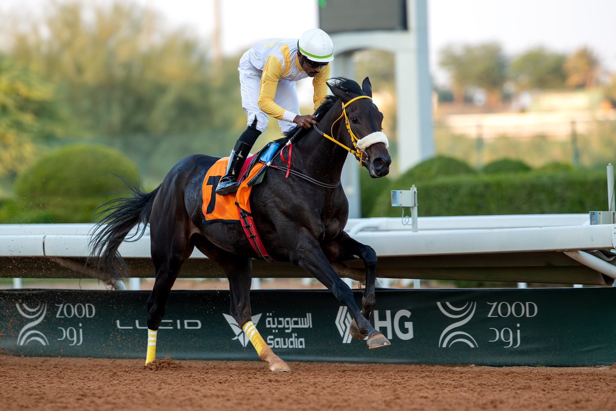 #موسم_سباقات_الرياض
#الحفل_40
#الشوط_3
الفائز: متشعب |السعودية | ابن نيو لاين
المالك والمنتج: الامير سيف الدين بن سعود بن عبدالعزيز
المدرب: فهد مسلط
الخيال: معاذ الرقيعي
الزمن: 1:30:58
المسافة: 1400 م
#صحيفة_الفروسية