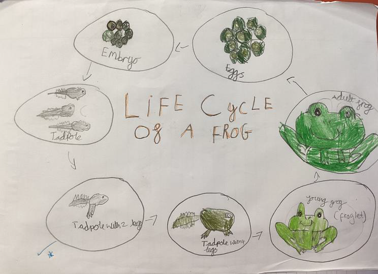 Dovery_Academy's tweet photo. Take a look at some of the brilliant pieces of work from our homework stars over this week! https://t.co/xWRKh48Fm9