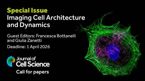 J_Cell_Sci's tweet image. We invite you to submit your latest research to our upcoming special issue - Imaging Cell Architecture and Dynamics. This issue will be coordinated by two Guest Editors: Fran Bottanelli and Giulia Zanetti, alongside our Editor Guillaume Jacquemet. 
journals.biologists.com/jcs/pages/imag…