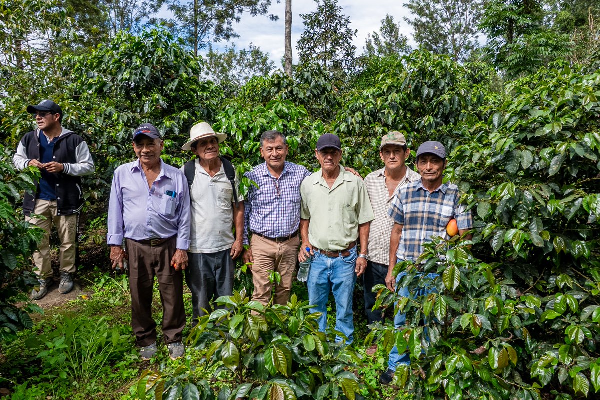 PROGRESO3's tweet image. En el último día de visita de la @AFD_es , se visitó diversas parcelas de los agricultores que trabajan junto a Norandino en la provincia de Ayabaca.
📌Proyecto “Productos del Bosque”. Ejecutado por @PROGRESO3 , @CoopNorandino  y @AVSFlatam, financiado por la @AFD_es