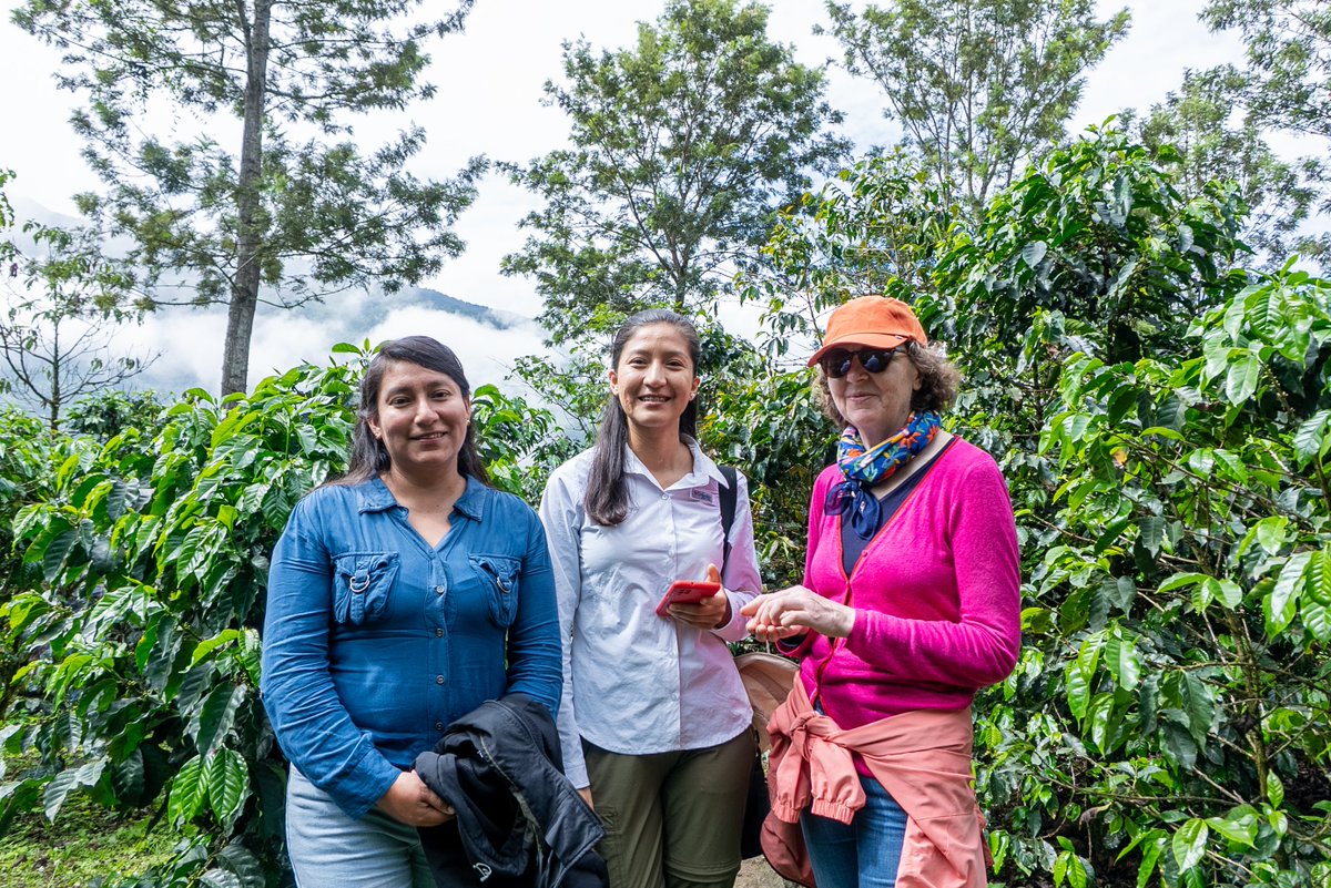 PROGRESO3's tweet image. En el último día de visita de la @AFD_es , se visitó diversas parcelas de los agricultores que trabajan junto a Norandino en la provincia de Ayabaca.
📌Proyecto “Productos del Bosque”. Ejecutado por @PROGRESO3 , @CoopNorandino  y @AVSFlatam, financiado por la @AFD_es