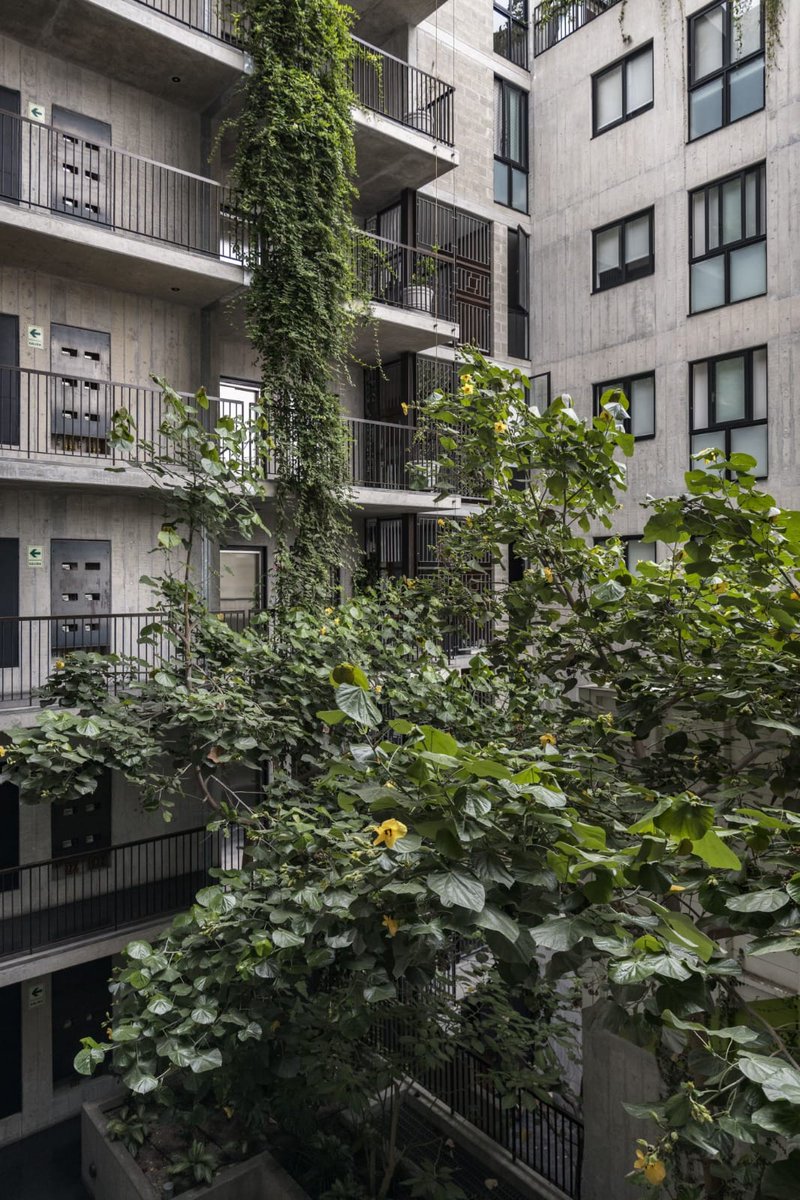 archinect's tweet image. Torres Paz by Vicca Verde 📸 Renzo Rebagliati #ArchinectProjects
 
Project details at archinect.com/firms/project/…