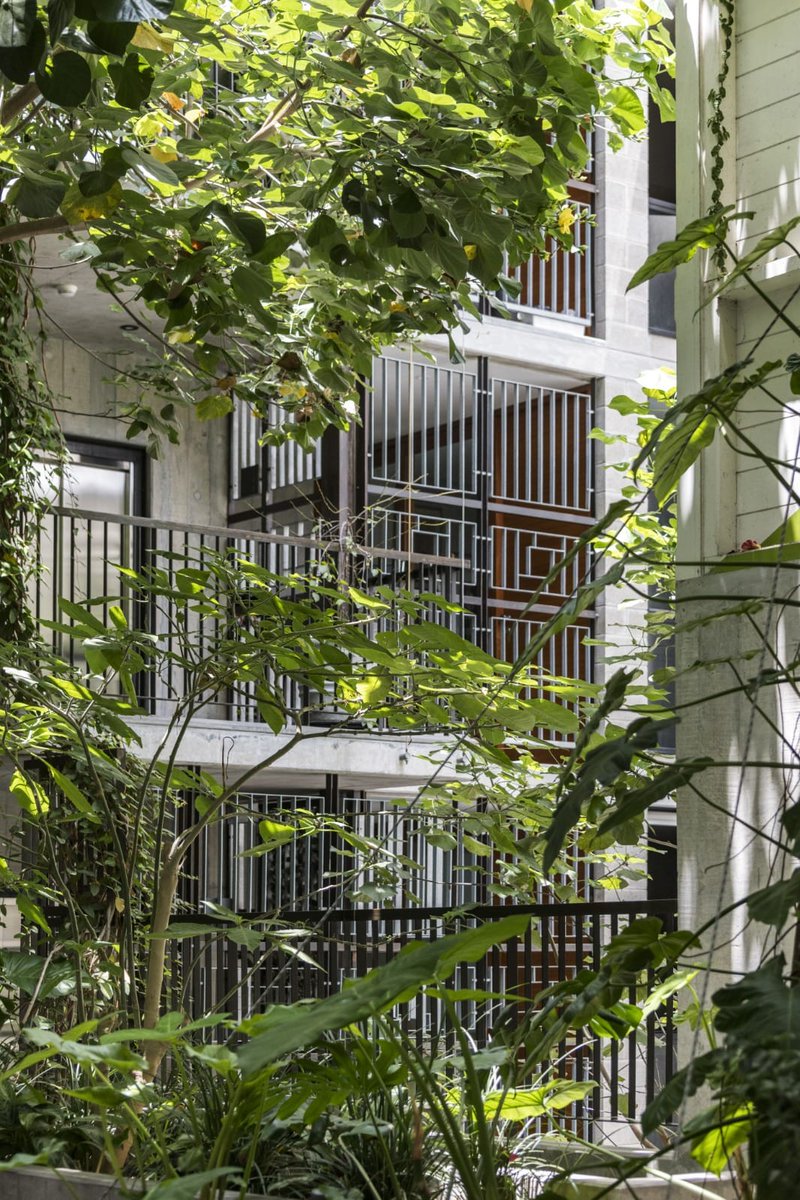 archinect's tweet image. Torres Paz by Vicca Verde 📸 Renzo Rebagliati #ArchinectProjects
 
Project details at archinect.com/firms/project/…