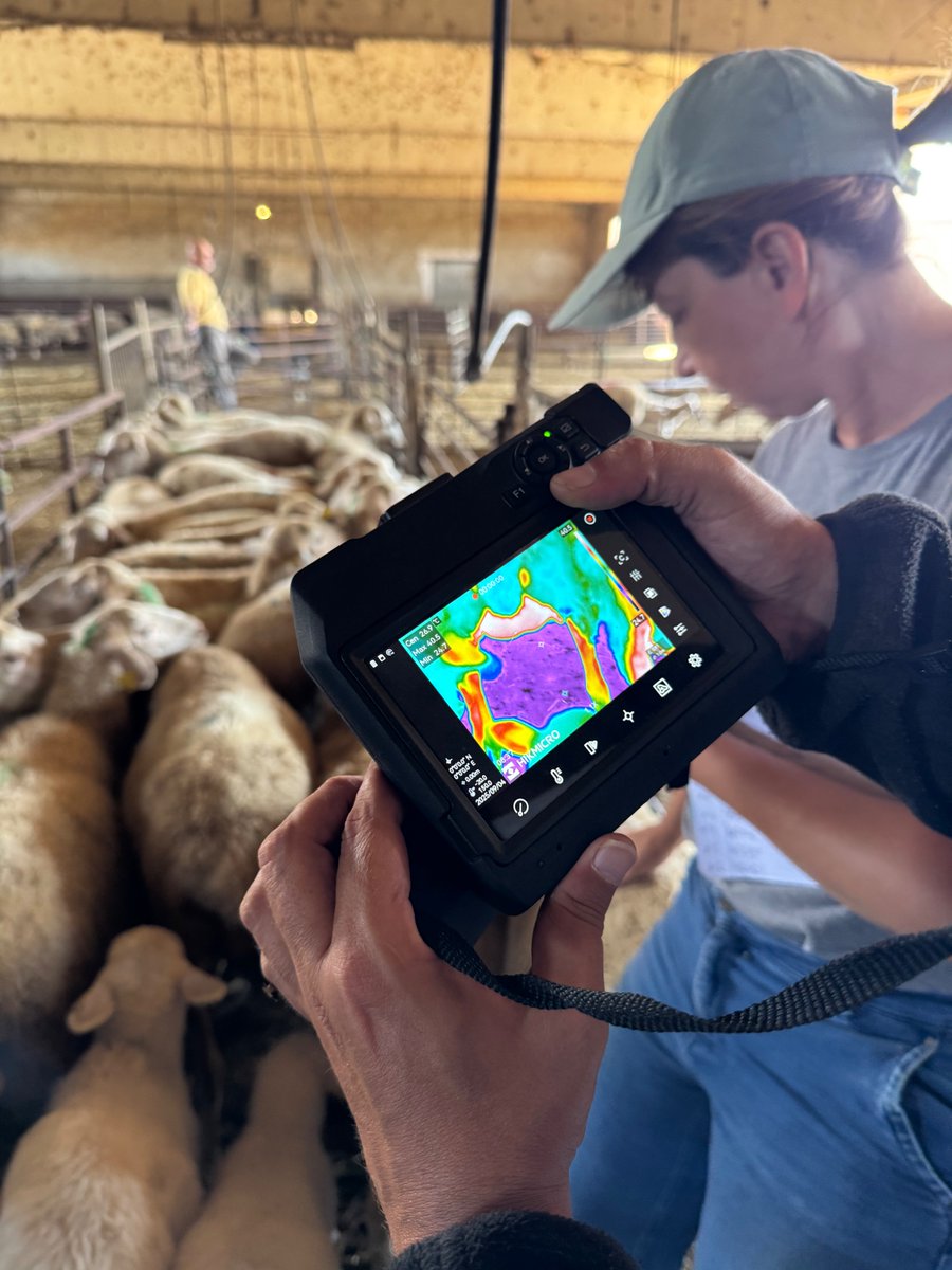 CoovaNavarra's tweet photo. 🚜Llega el final de año, época de mucho trabajo para COOVA en la que estamos a tope con nuevos proyectos piloto:
🔍 Termografía
👥Continuidad en Explotaciones Ganaderas

📸 Aquí os dejamos varias imágenes del trabajo en #termografía.
#CarneCoova #DeLosGanaderosATuMesa https://t.co/ESYKiwC3n9