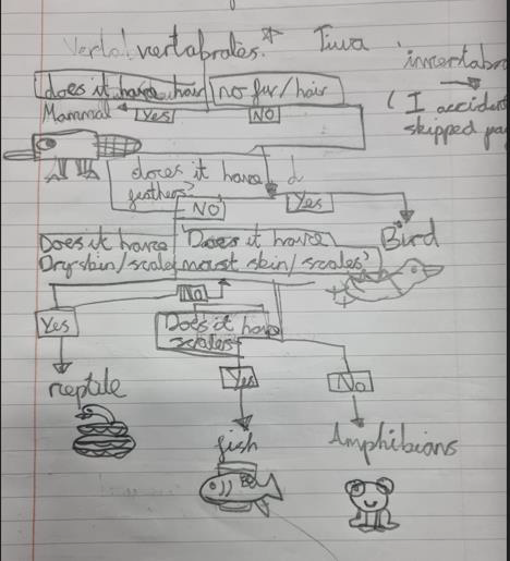 Dovery_Academy's tweet photo. Take a look at some of the brilliant pieces of work from our homework stars over this week! https://t.co/xWRKh48Fm9