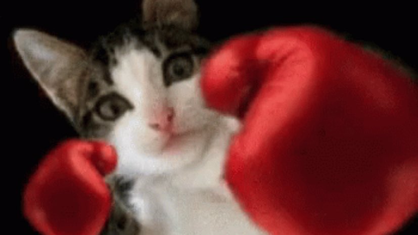 n (@sanoupy) on Twitter photo 