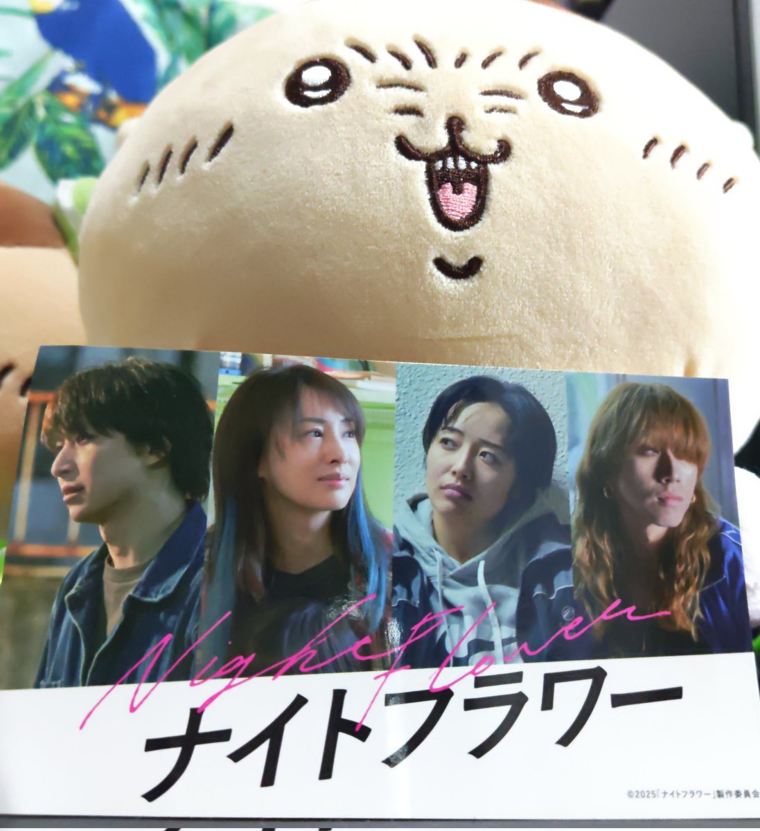 🐼カオルハナコ🍺 (@hanakokaoluko) / Posts / X