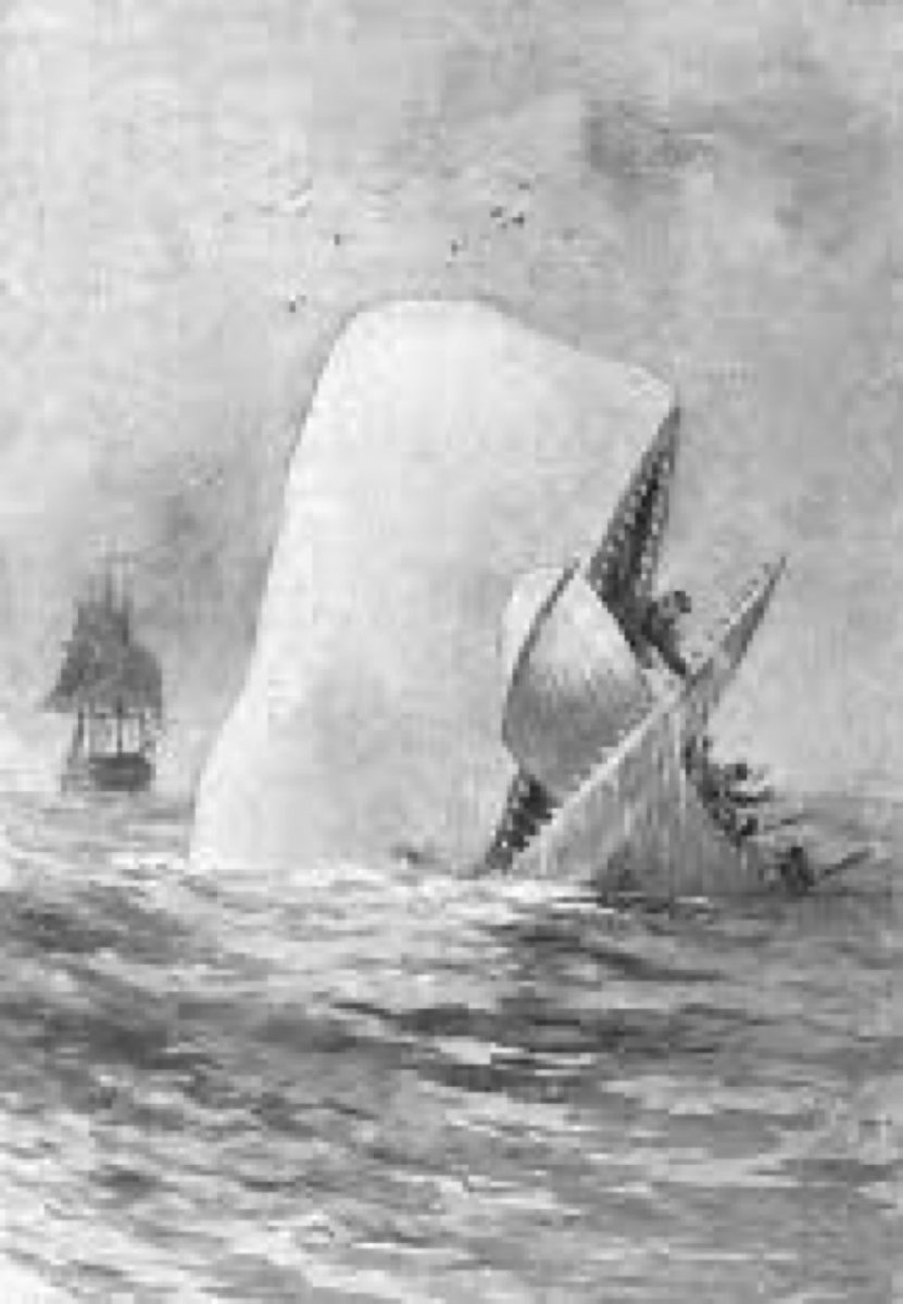 SaveRedlandLibr's tweet image. “Ignorance is the parent of fear.”

📖 “Moby-Dick” ~ Herman Melville, 1851

#BookchatWeekly #FictionFriday

🎥 “Moby Dick”, 1956
2:35pm TODAY on @Legend__Channel