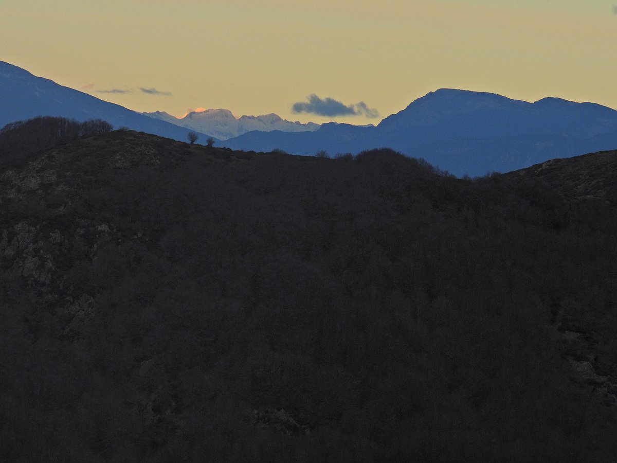Una de les Medes, una de Mallorca i dues de l'Aneto, atrinxerat refulgent darrera el Pic del Pessó. Aquest matí des del Turó de l'Home, bona transparència en diferents direccions.  Després en posaré més i explicaré més coses al fil; ara encara estic ocupat en altres coses.