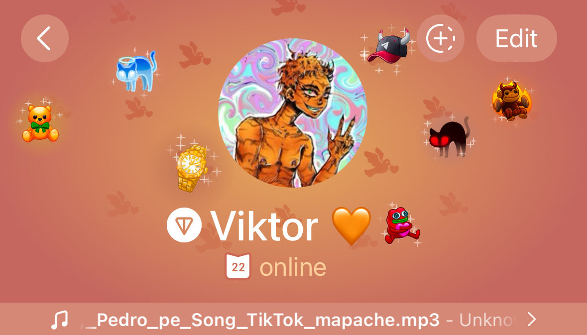 s0meone_u_know's tweet image. Show me your TG profile 🫵🧡