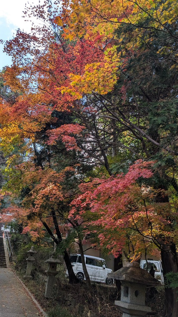 Reon_0328's tweet photo. 気がつけばもう12月が近づいて11月が終わるっすねぇ…。😑
今年も仕事でも色々とあったけど…後悔がないように頑張ろう！！
本当に秋の紅葉が綺麗すねぇ！！💪😁 https://t.co/95RukwP1UP