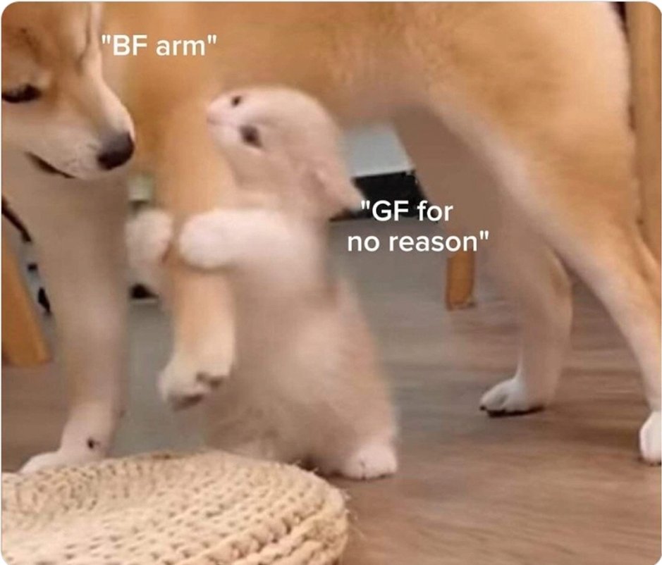 imadoringyou's tweet image. could be us